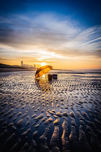 Early in the morning