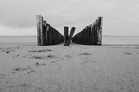 Breakwaters on the coast of Zeeland