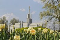 The Hague, Netherlands temple