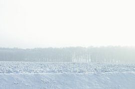 white horizon - winter in Drenthe sur Sagolik Photography