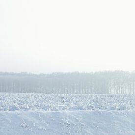 white horizon - winter in Drenthe von Sagolik Photography
