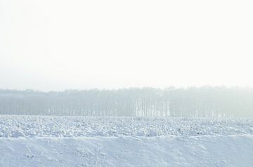 white horizon - winter in Drenthe van Sagolik Photography