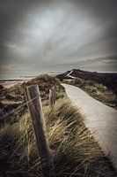 Winter at the coast