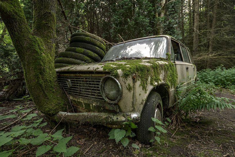 Oude Lada met boom door grill von Kristel van de Laar