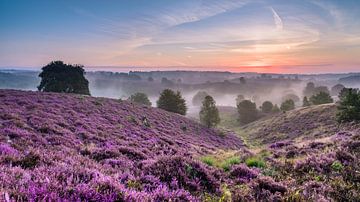 Magisch von Ellen van den Doel