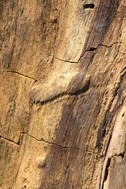 Wood structure