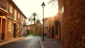 Golden Hour with flares