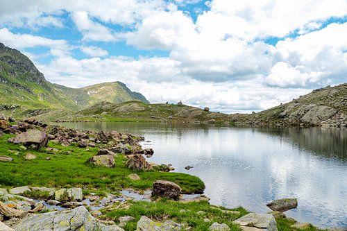 Lentebloemenpracht in de bergen van Vinschgau – alpenklokjes, wollegras en alpenweiden tegen een indrukwekkende achtergrond van bergtoppen.