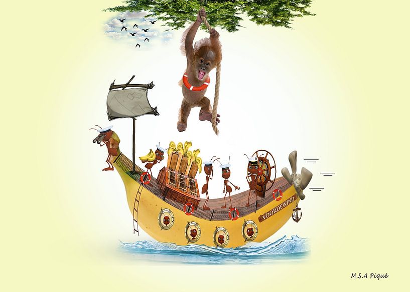 Banana Boat by MSA Piqué