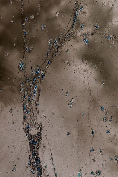 Blaue Blüte von Esther van Beek