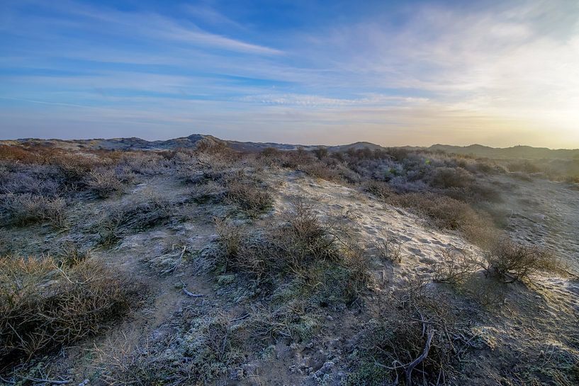 Nature at its most beautiful by Dirk van Egmond