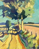 Steile veldweg