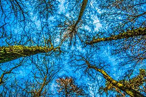 Der Himmel