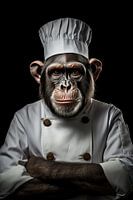 Chimpansee als kok