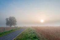 Lever du soleil dans la brume du matin par Richard Gilissen Aperçu