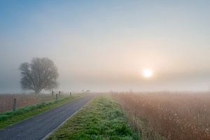 Zonsopkomst bij ochtend nevel van Richard Gilissen