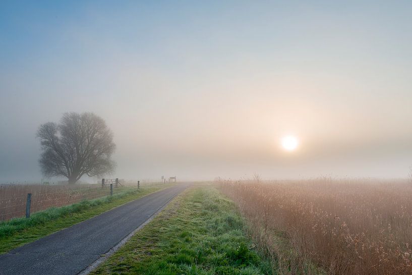Lever du soleil dans la brume du matin par Richard Gilissen