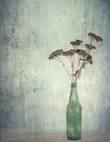 bottled