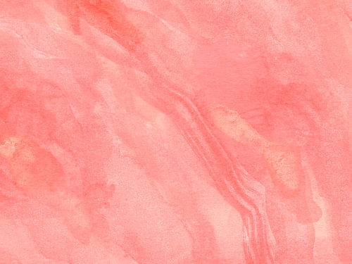 Coral flow 3