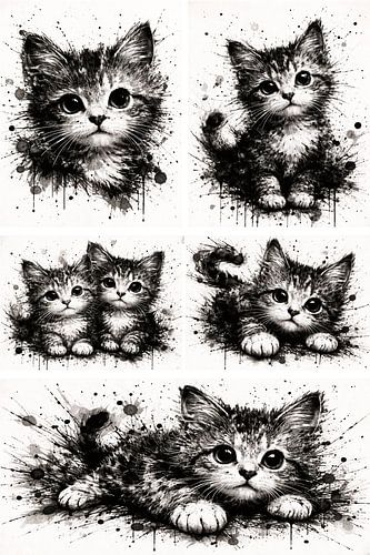 Monochrome structural aesthetics