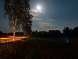 Glow by Elspeth Jong