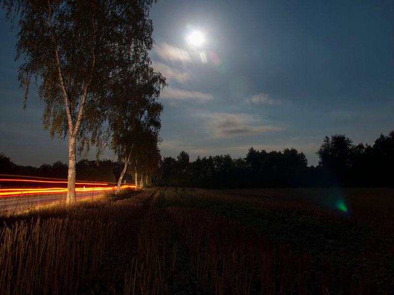 Glow van Elspeth Jong