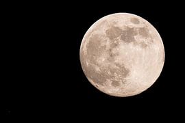 Full Moon by Dennis Bresser