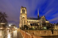Notre-Dame von der Brücke von Dennis van de Water Miniaturansicht
