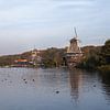 Molens bij de Kralingse plas sur Nel Diepstraten