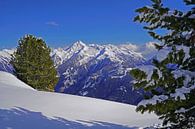 Winter hike in the Tux Alps in Austria by Babetts Bildergalerie thumbnail