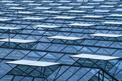 Infinite glass deck with ventilation windows of a horticultural greenhouse