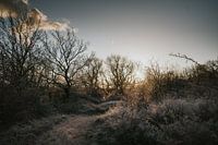 Winterlandschaft