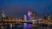 Erasmus-Brücke Rotterdam von Leon van der Velden Miniaturansicht