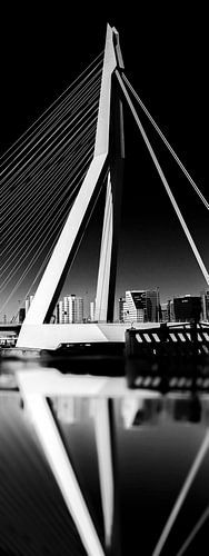 ERASMUS bridge panorama