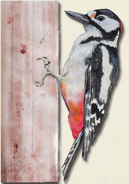 Pied Woodpecker with shadow bird illustration by Angela Peters