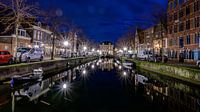 Hoorn