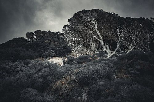 Stille Glut der Küste