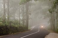 Motorbike in the mist, Bali van Olivier Van Acker thumbnail