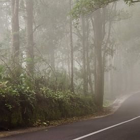 Motorbike in the mist, Bali van Olivier Van Acker