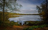 Autumn colours of the Black Water