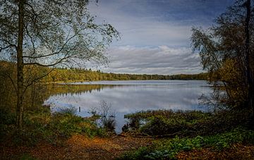 Herfstkleuren van het Zwart Water van Jos Saris