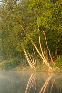 Weerribben NP 