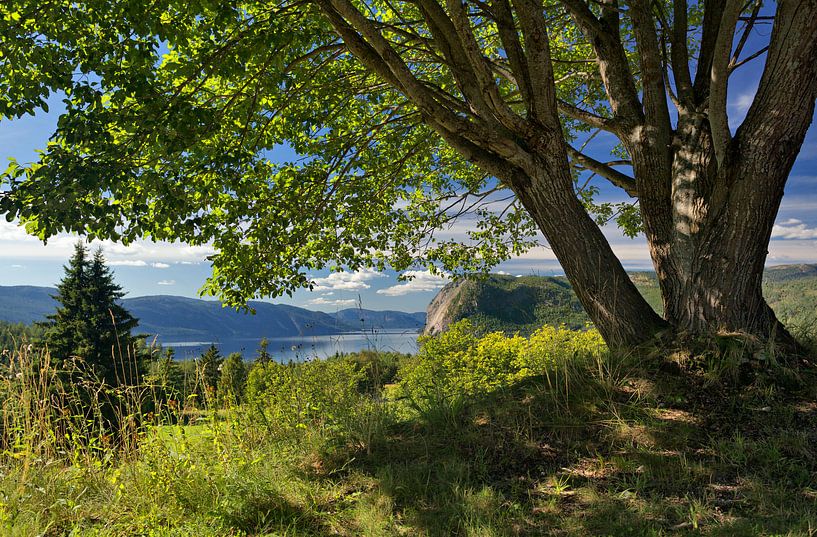 Fyresdal, Telemark, Noorwegen van David Bleeker