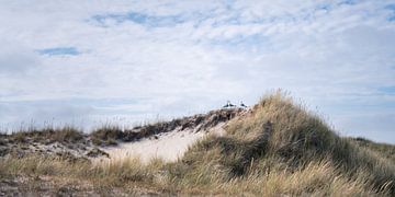 Point de rencontre sur la dune sur wukasz.p
