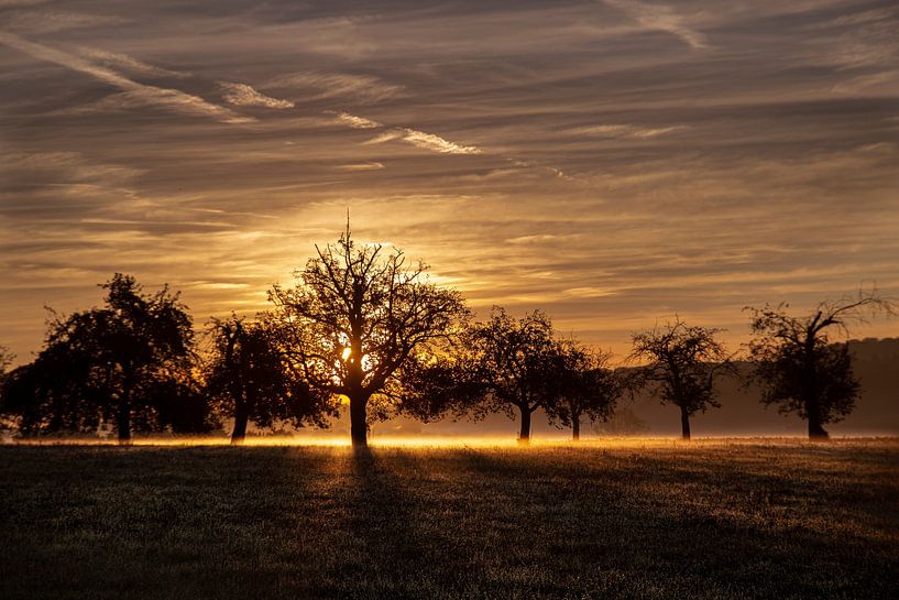 Dawn by Thomas Heitz