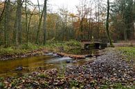 Leuvenumse beek in de herfst van Gerard de Zwaan thumbnail