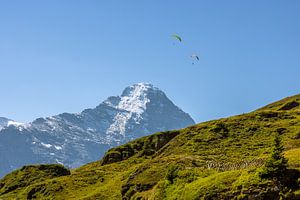 L'Eiger, un jour d'été