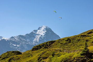 The Eiger, on a summer day by Reinier Holster