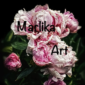 Marlika Art Profilfoto