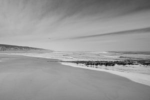 Texel van Johanna Blankenstein